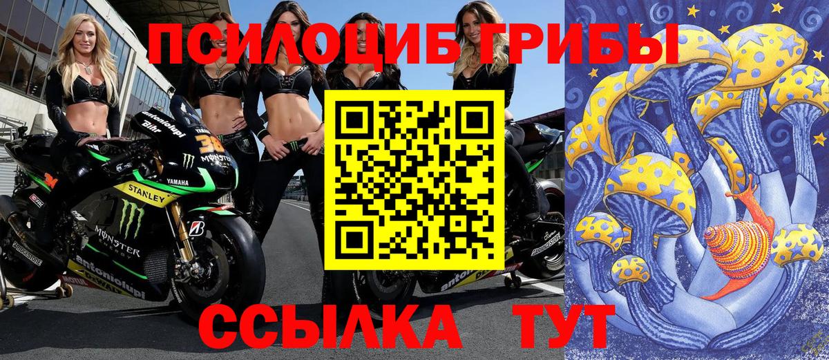 Галлюциногенные грибы мухоморы Сосновый Бор