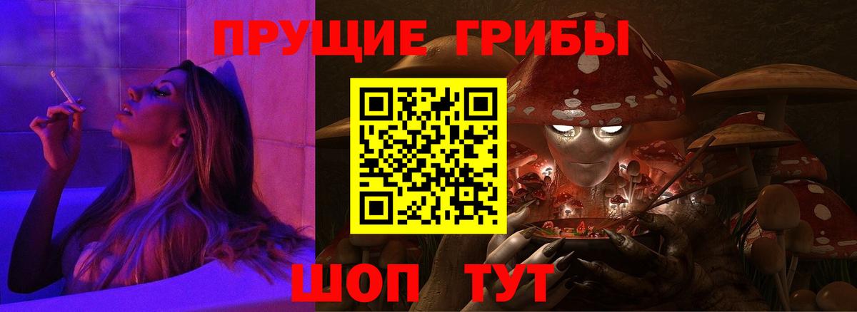Псилоцибиновые грибы GOLDEN TEACHER  Вход с VPN  Сосновый Бор 